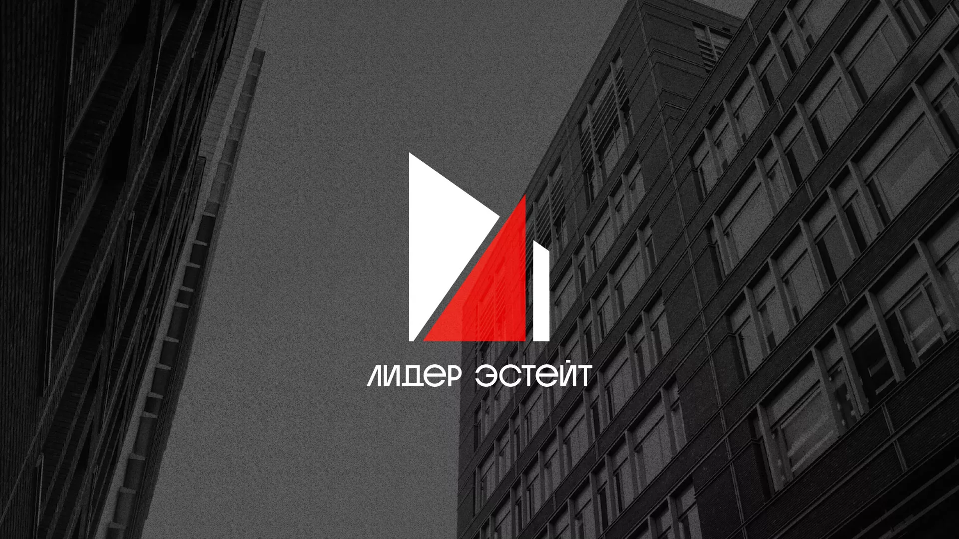 Сделали логотип для агентства недвижимости «Лидер Эстейт» в Железногорске-Илимском